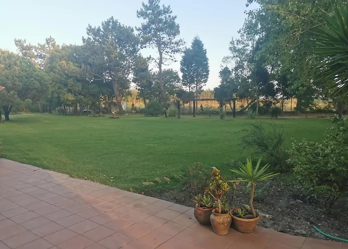 T0 Da Casa Da Quinta S Jose Dağ evi *