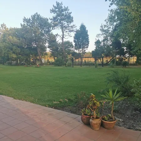 T0 Da Casa Da Quinta S Jose Chalé *